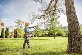 Best Hedge Trimming  in Colfax, WA